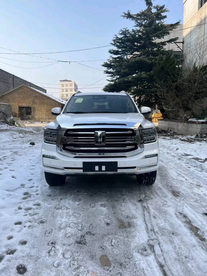 邯郸24年长城汽车坦克5001