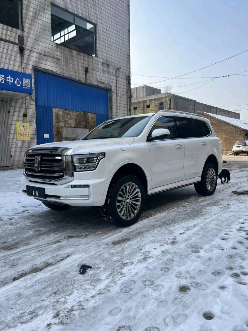 邯郸24年长城汽车坦克5002