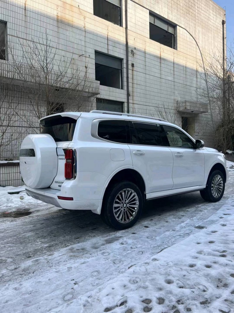 邯郸24年长城汽车坦克5003