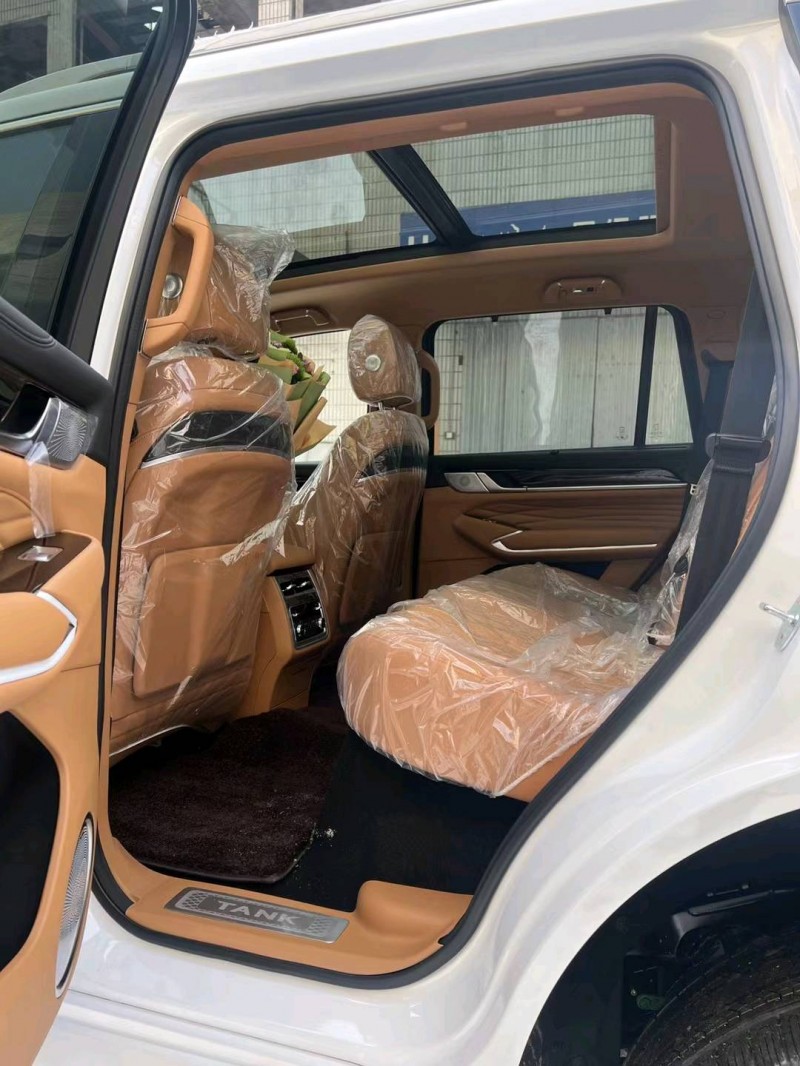 邯郸24年长城汽车坦克5005