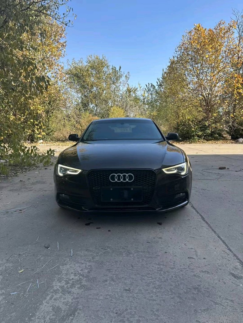 邯郸14年奥迪A51