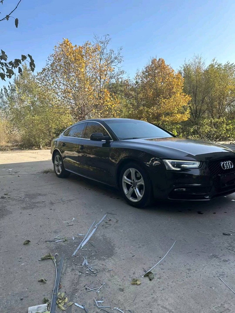 邯郸14年奥迪A52