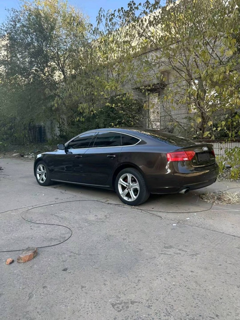 邯郸14年奥迪A53