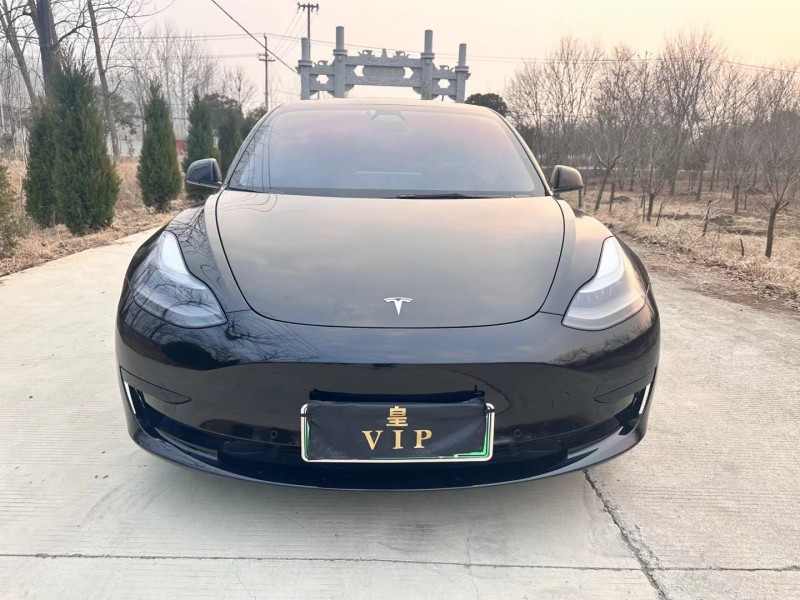 徐州21年特斯拉MODEL 31