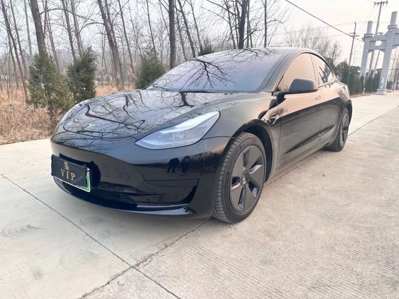 徐州21年特斯拉MODEL 33