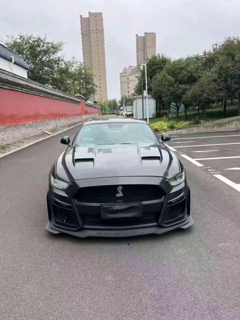 济宁16年福特野马1