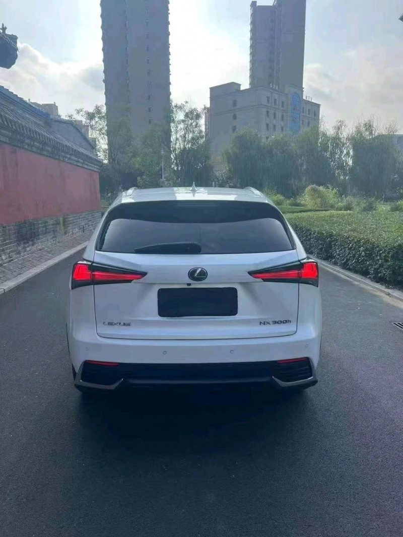 济宁18年雷克萨斯NX9