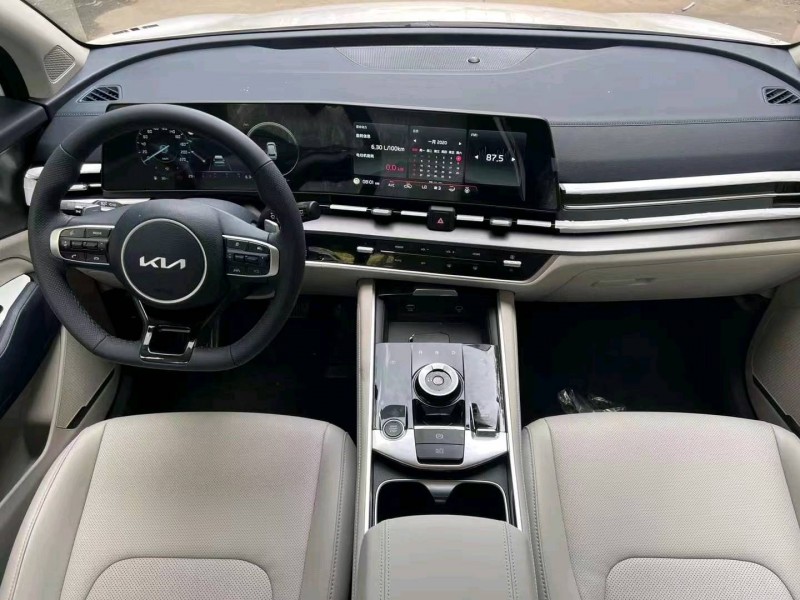 邯郸23年起亚狮铂5