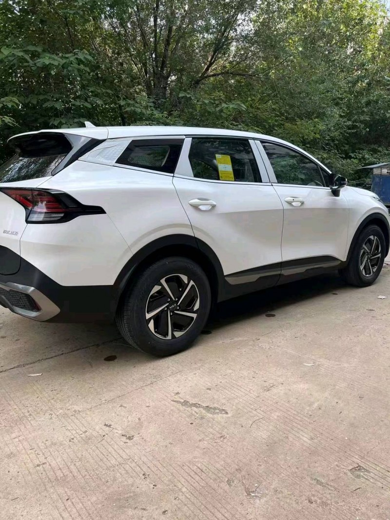 邯郸23年起亚狮铂6