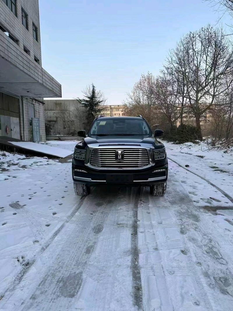 邯郸24年长城汽车坦克5001