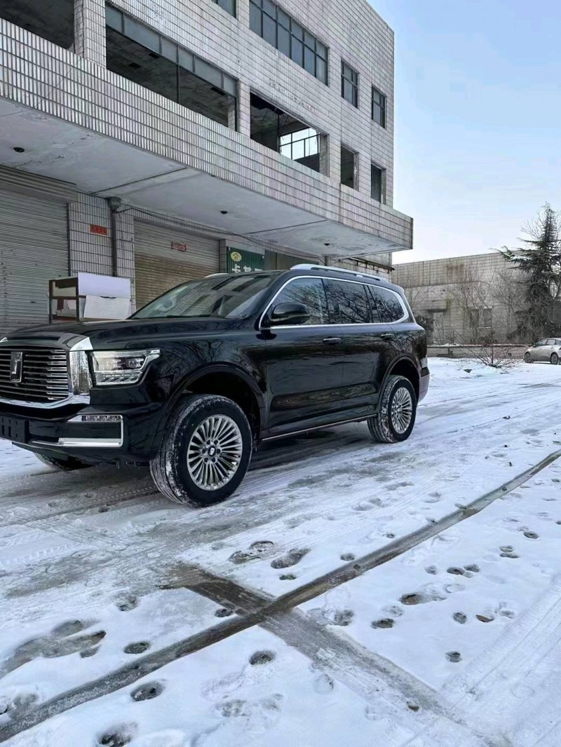 邯郸24年长城汽车坦克5002