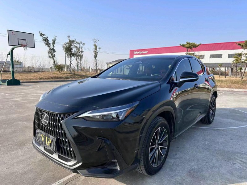 盐城22年雷克萨斯NX2