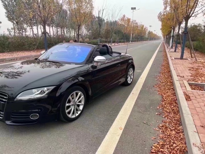 廊坊13年奥迪TT2