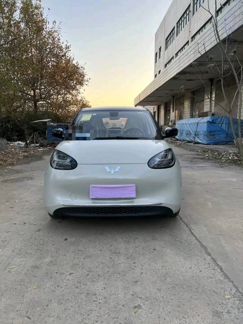 保定23年五菱汽車繽果1