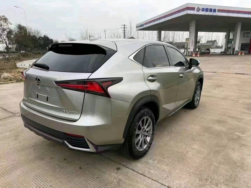 常州21年雷克萨斯NX8