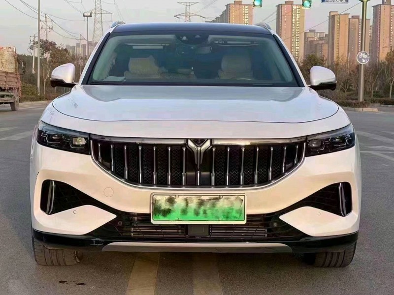 咸陽21年嵐圖汽車FREE1