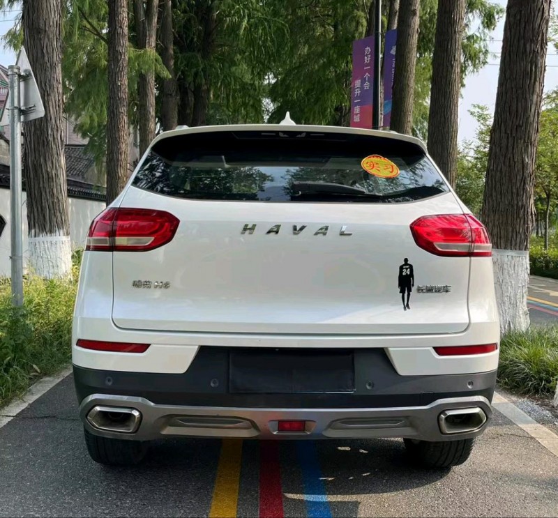 杭州20年哈弗H69