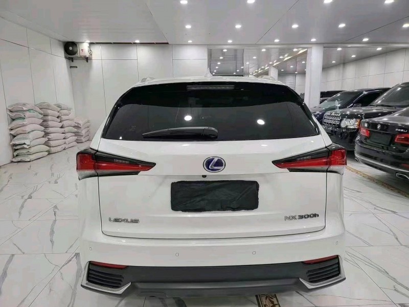 枣庄20年雷克萨斯NX7