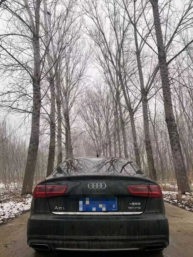 枣庄17年奥迪A6L8