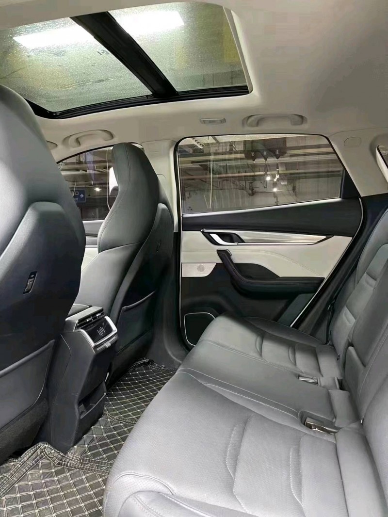 成都21年威马汽车EX-56