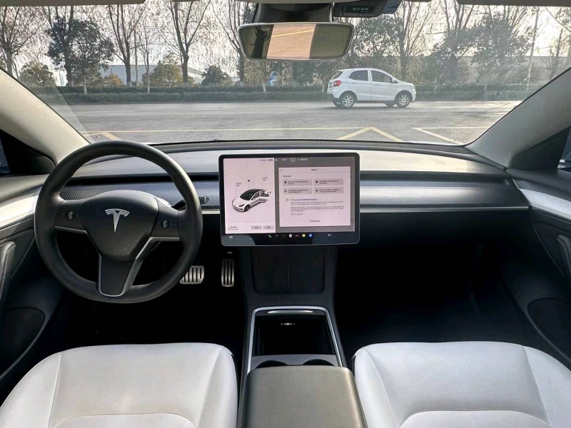 徐州21年特斯拉MODEL 36