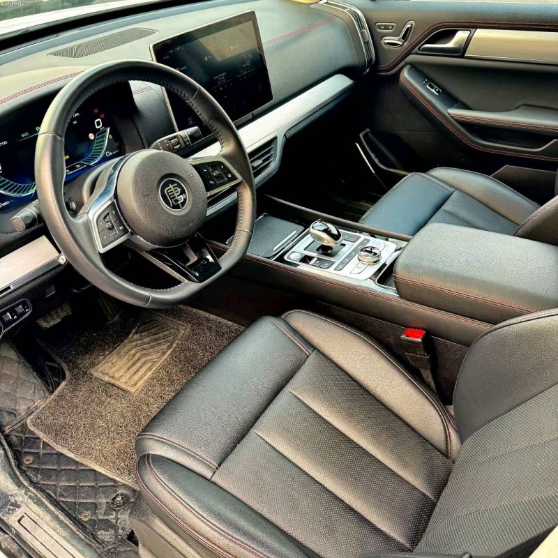 深圳20年比亚迪唐9