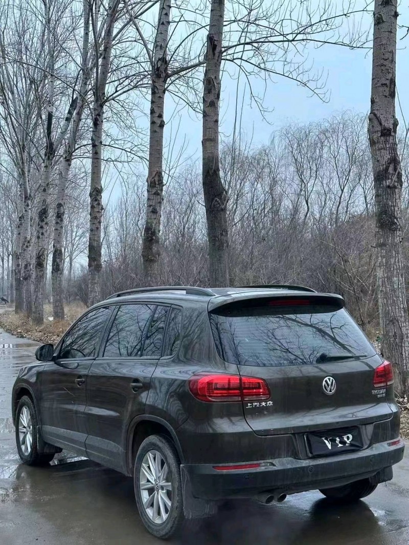 聊城19年大众途观5