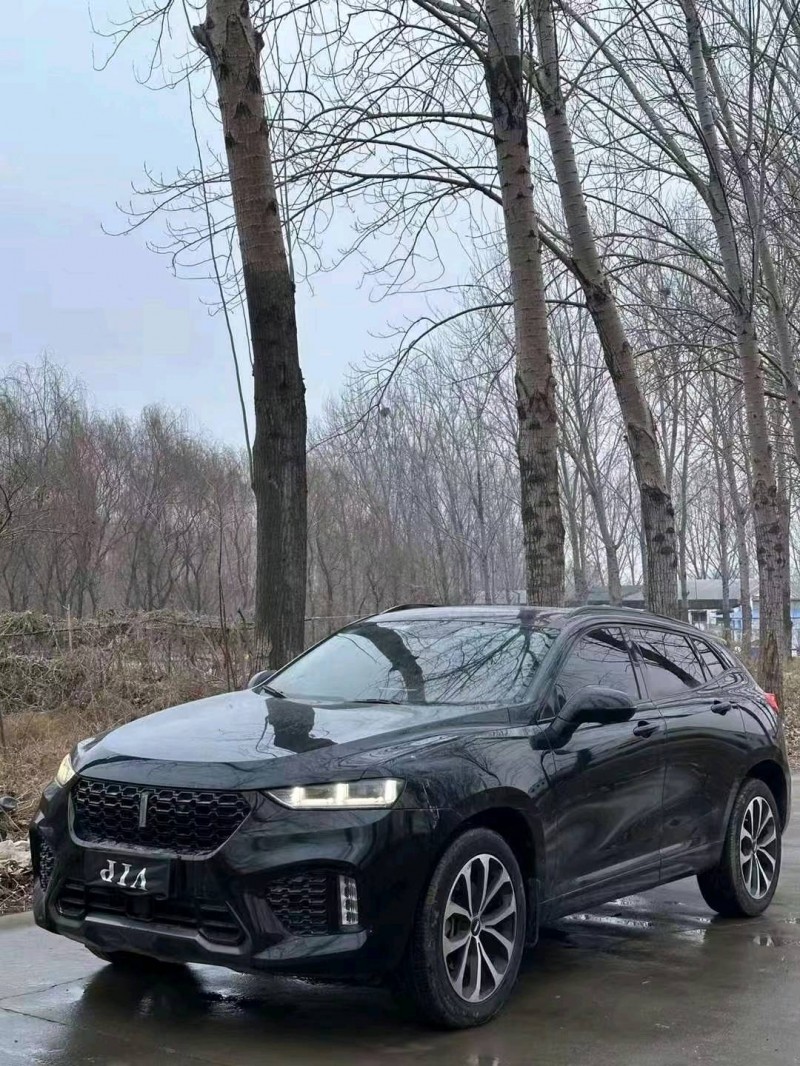 聊城17年长城汽车WEY VV73