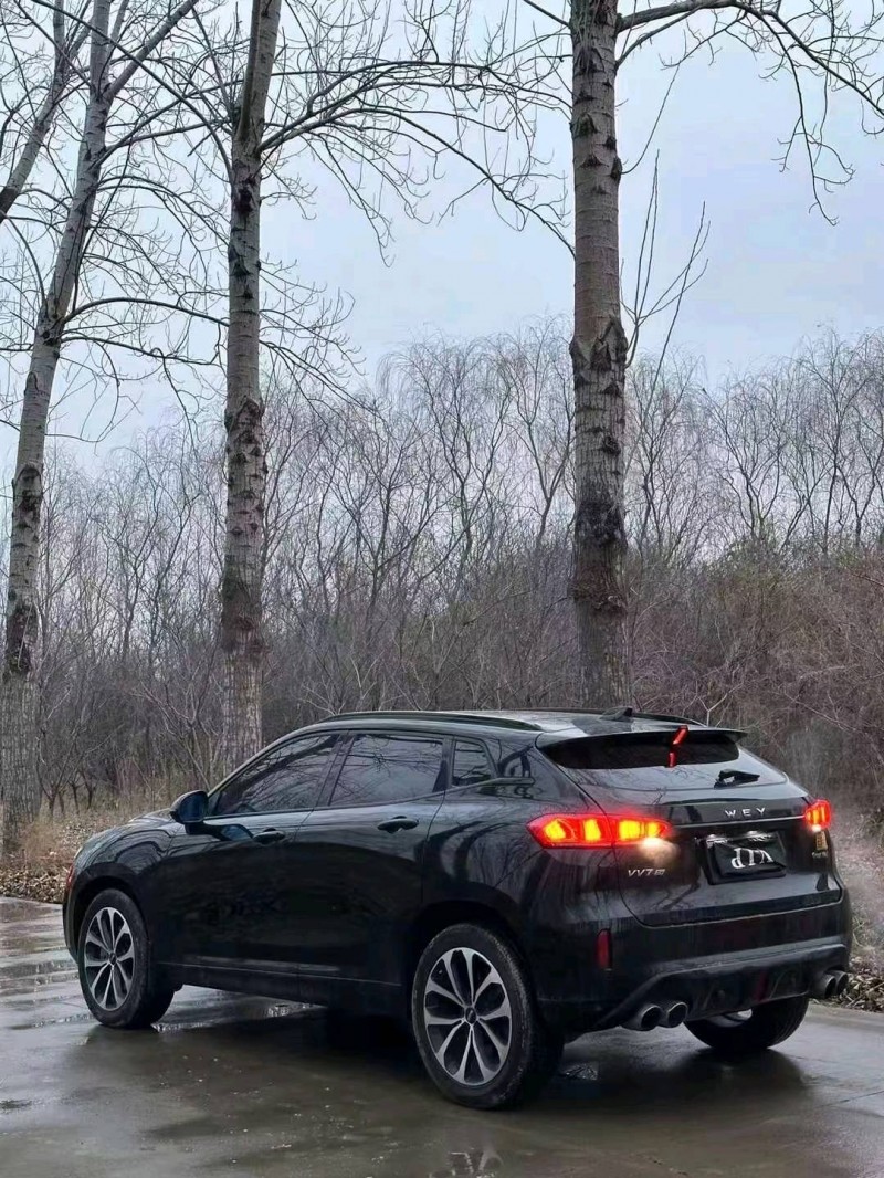 聊城17年长城汽车WEY VV76