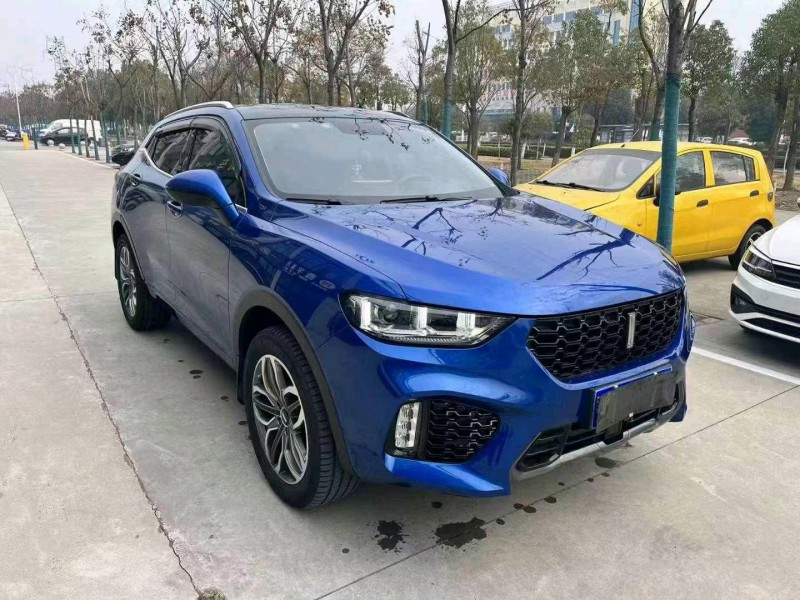 鄂州19年長城汽車WEY VV52