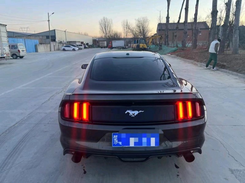 邯郸18年福特野马6