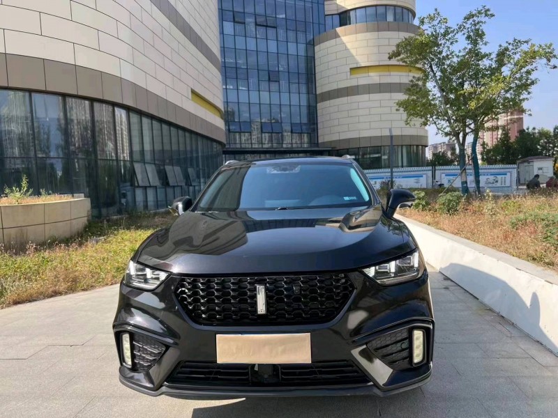 淄博20年长城汽车WEY VV51