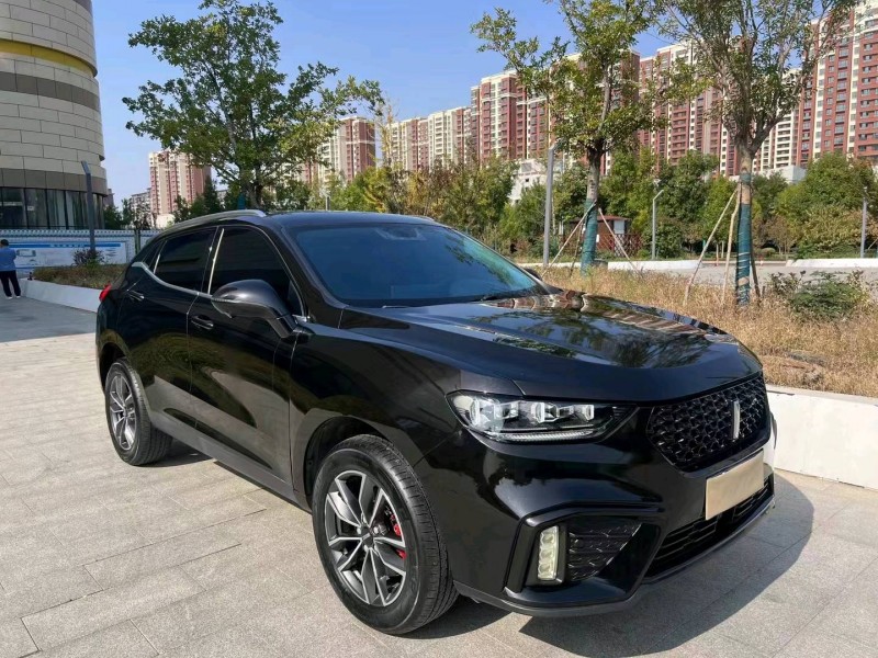 淄博20年长城汽车WEY VV52