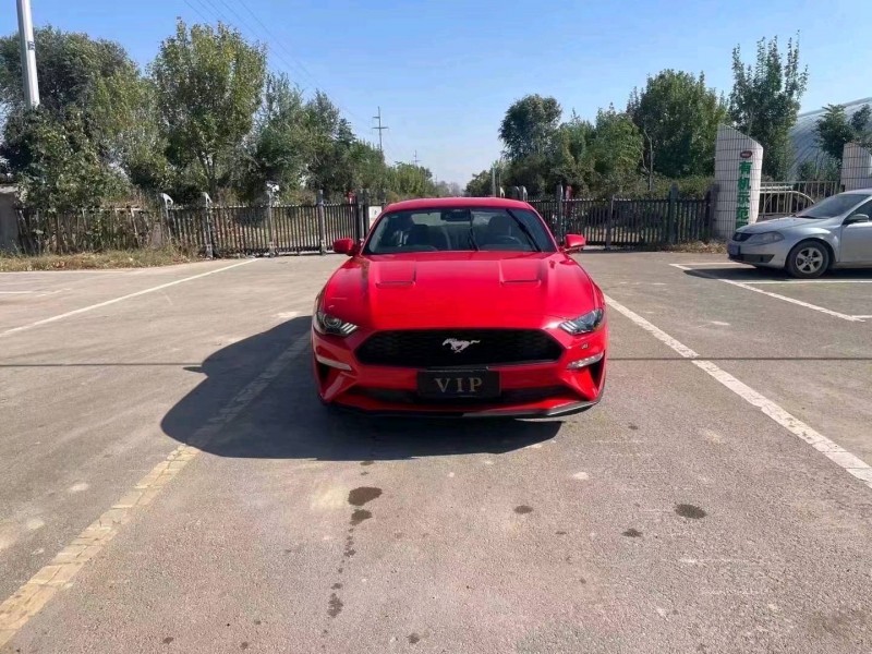 东营23年福特野马1