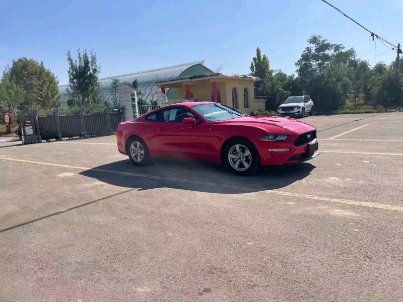 东营23年福特野马2