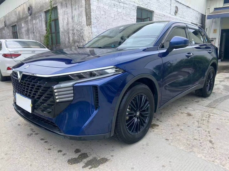 廣州22年啟辰大V6