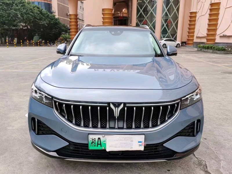 衡陽22年嵐圖汽車FREE1