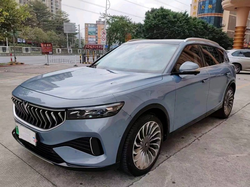 衡陽22年嵐圖汽車FREE2