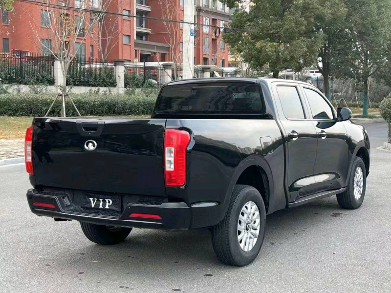 蕪湖19年長城汽車炮 皮卡5