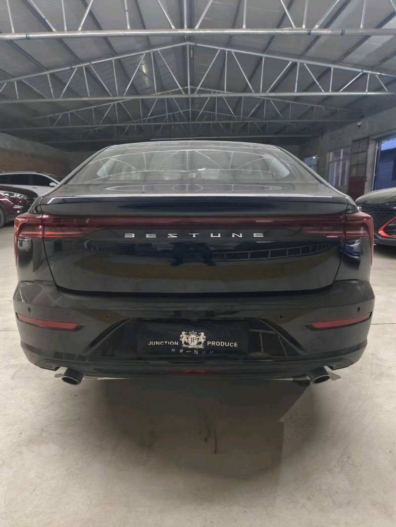 廊坊24年奔腾B709