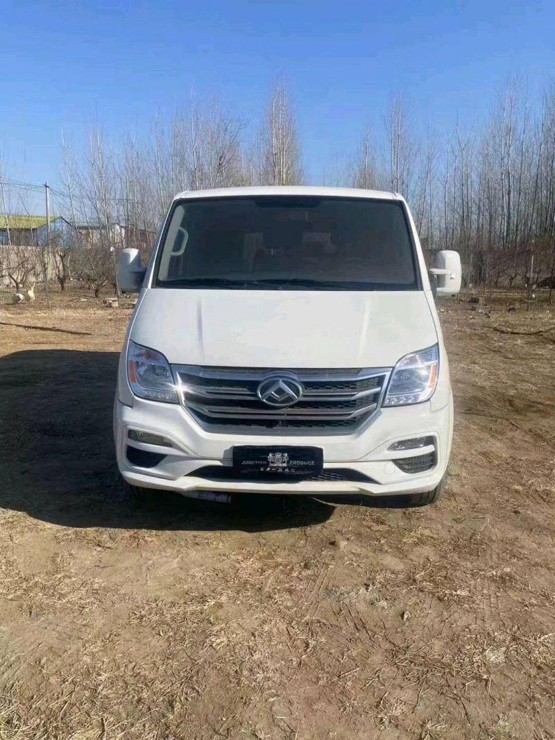 东营22年大通V801