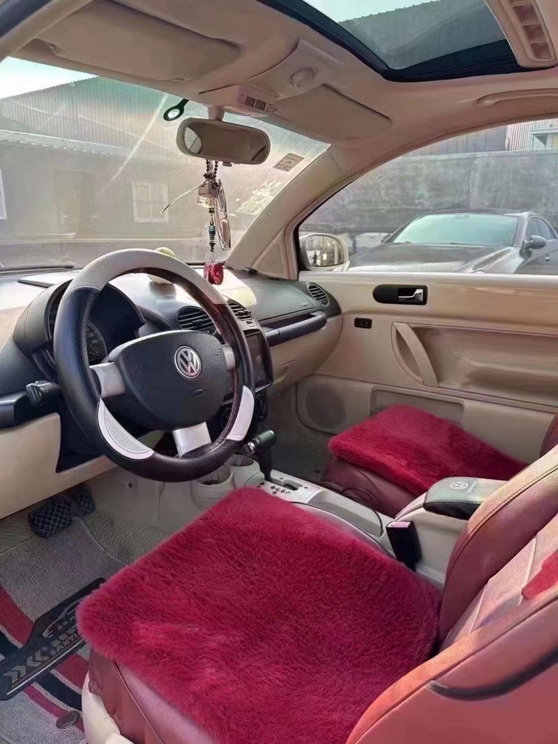 济宁09年大众甲壳虫4