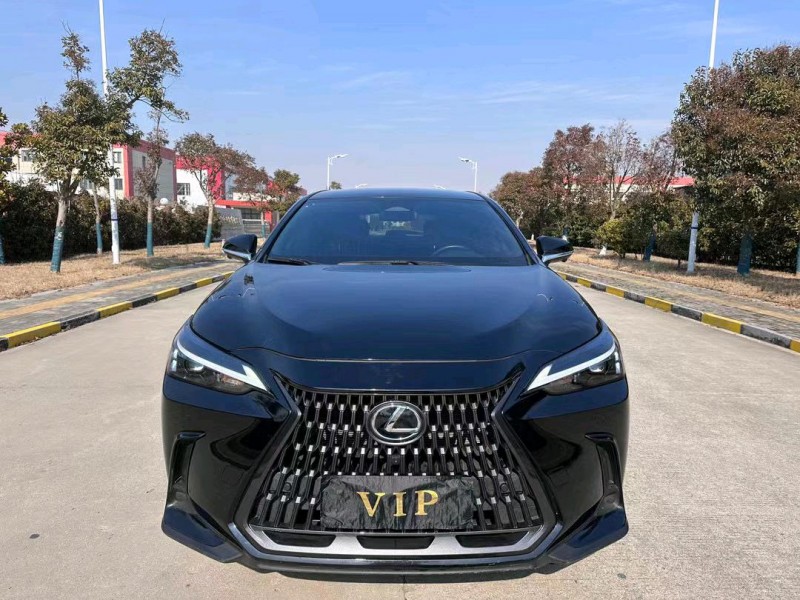 盐城22年雷克萨斯NX1