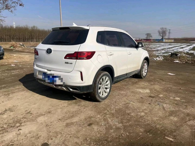 保定17年奔腾X409