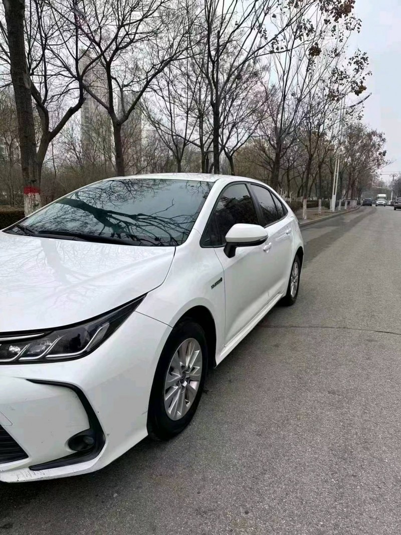 济南20年丰田卡罗拉5