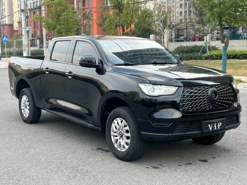 淮南19年長城汽車炮 皮卡3