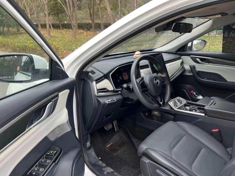 嘉興21年威馬汽車EX-58