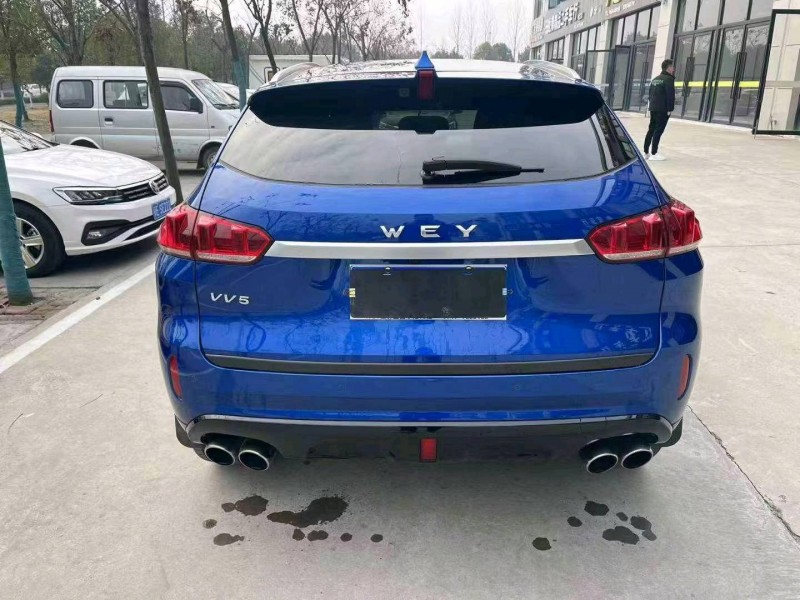 宜昌19年長城汽車WEY VV53