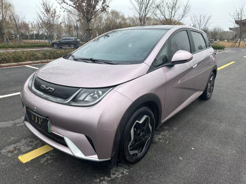 徐州22年比亚迪海豚2