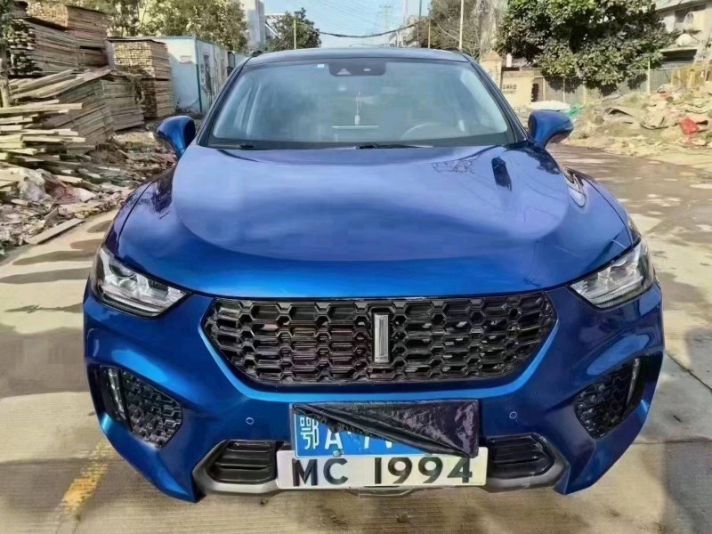 宜昌18年長城汽車WEY VV51